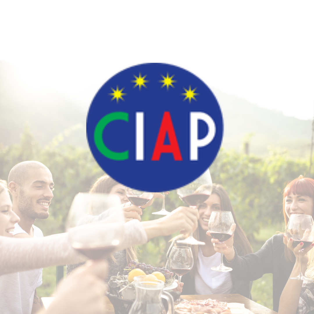 Board Member, Chicagoland Italian-American Professionals